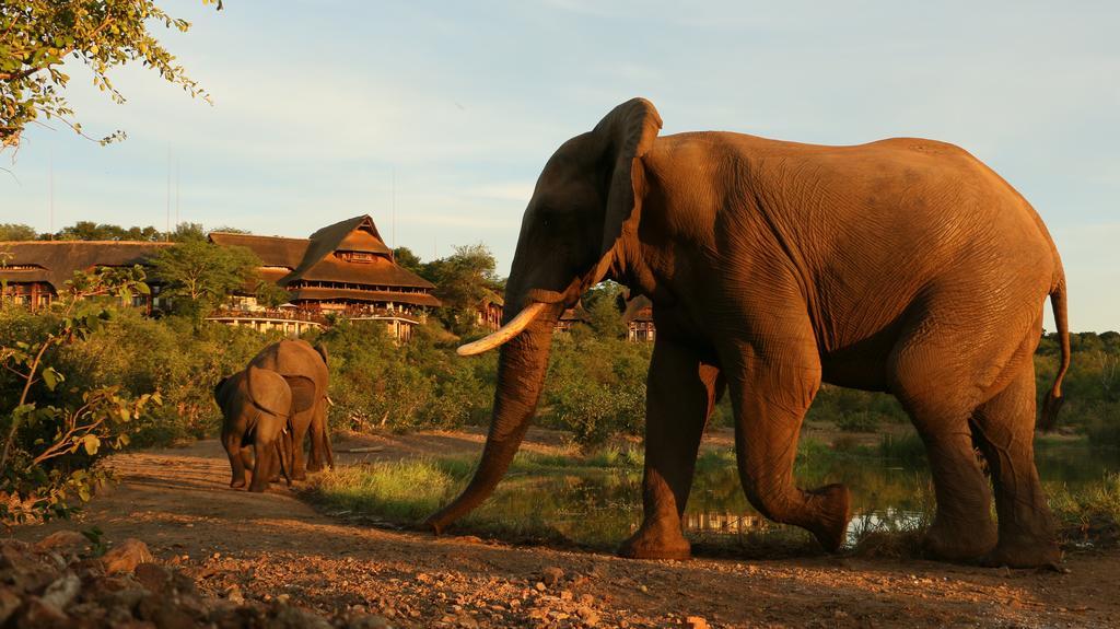 Victoria Falls Safari Suites المظهر الخارجي الصورة